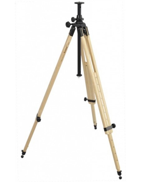 Robtics Berlebach Tripod Report 342/P - 13042