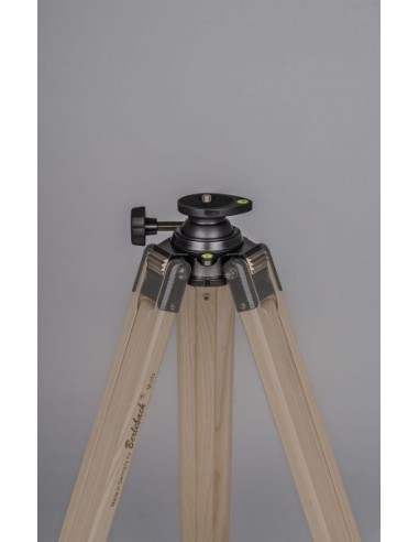 Robtics Berlebach Tripod Report 933 - 22032
