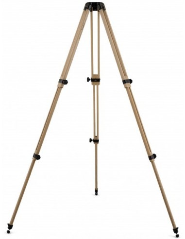 Robtics Berlebach Tripod Report 933 - 22032