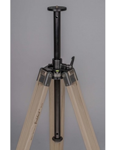 Robtics Berlebach Tripod Report 923 - 22022