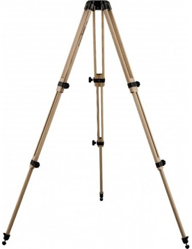 Robtics Berlebach Tripod Report 833/P - 23031