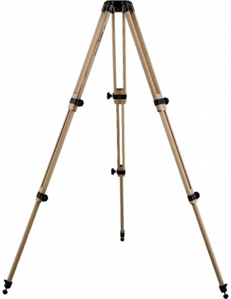 Robtics Berlebach Tripod Report 833/P - 23031