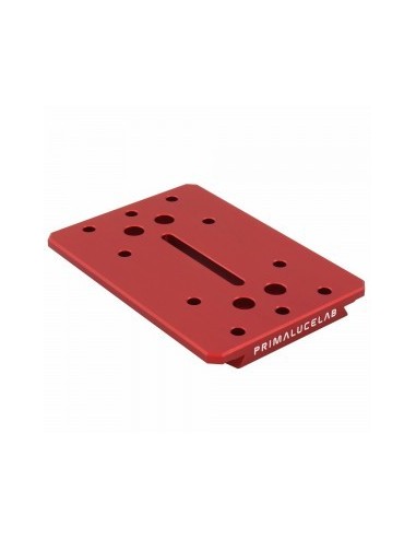Robtics PrimaLuceLab Losmandy plate 140mm PLUS