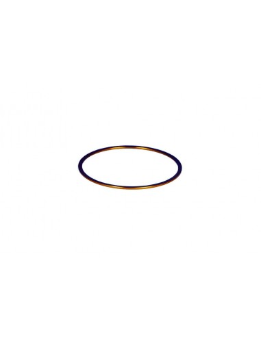 Robtics Baader M48 Fine-Adjustment-Ring 1.0mm, Aluminium - 2457918