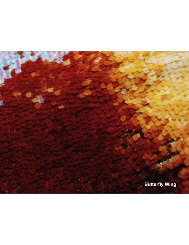 BRESSER Biolux Touch 5MP HDMI digital Microscope for School and Hobby - 5