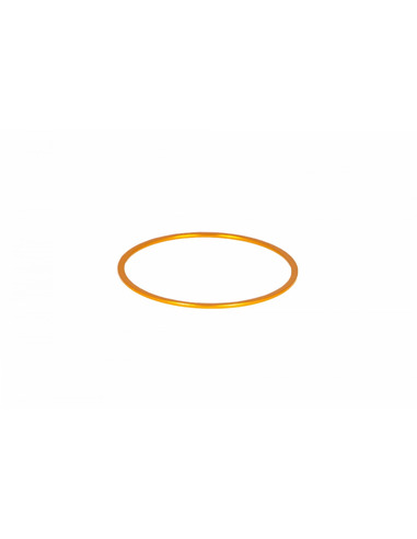 Baader M54 Fine-Adjustment Ring 1mm (gold) - Aluminium - 1