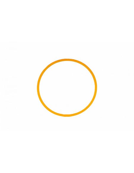 Baader M54 Fine-Adjustment Ring 1mm (gold) - Aluminium - 2