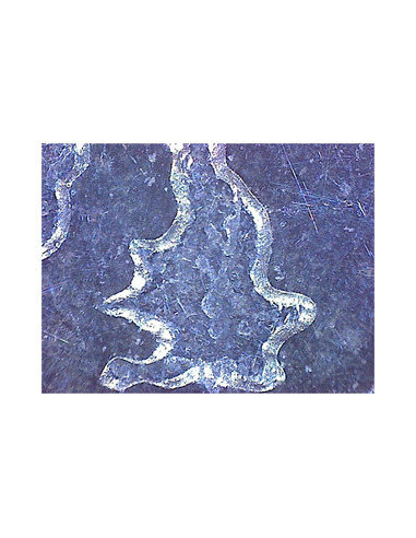 Omegon DigitalView USB hand microscope - 4