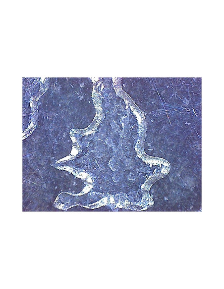 Omegon DigitalView USB hand microscope - 4