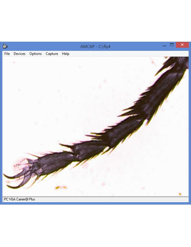 Omegon Microscope MonoView, MicroStar, achromat, 1280x, LED - 3