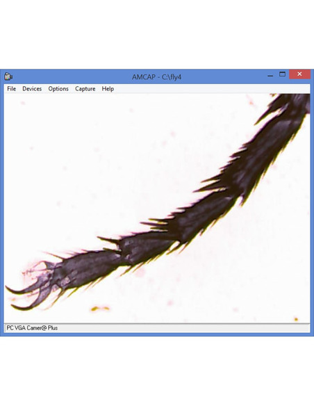 Omegon Microscope MonoView, MicroStar, achromat, 1280x, LED - 3