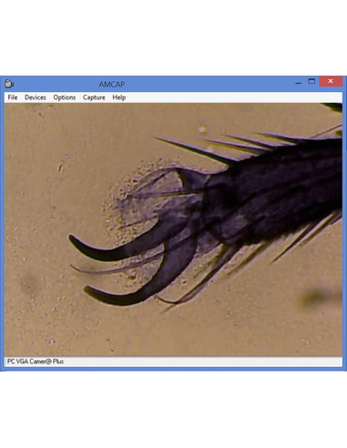 Omegon Microscope MonoView, MicroStar, achromat, 1280x, LED - 4