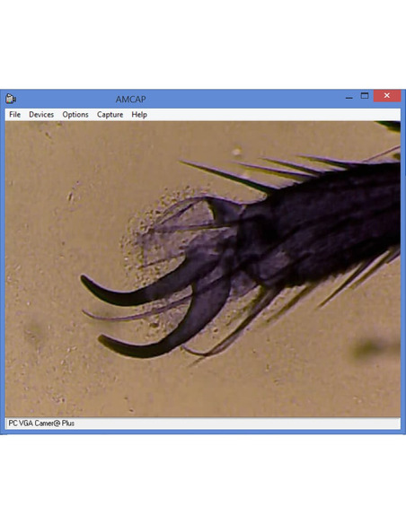 Omegon Microscope MonoView, MicroStar, achromat, 1280x, LED - 4