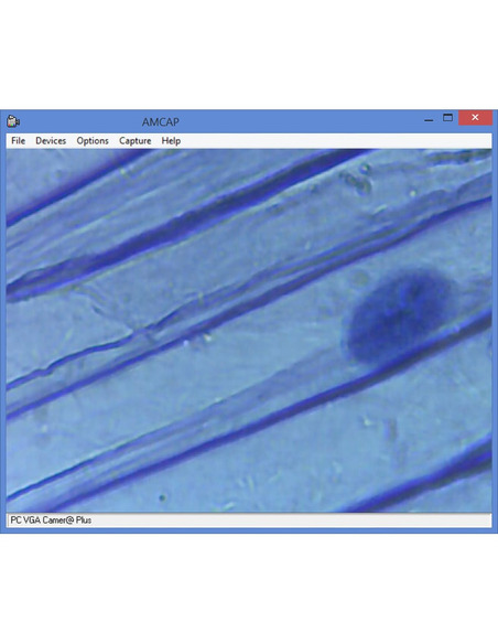 Omegon Microscope MonoView, MicroStar, achromat, 1280x, LED - 7