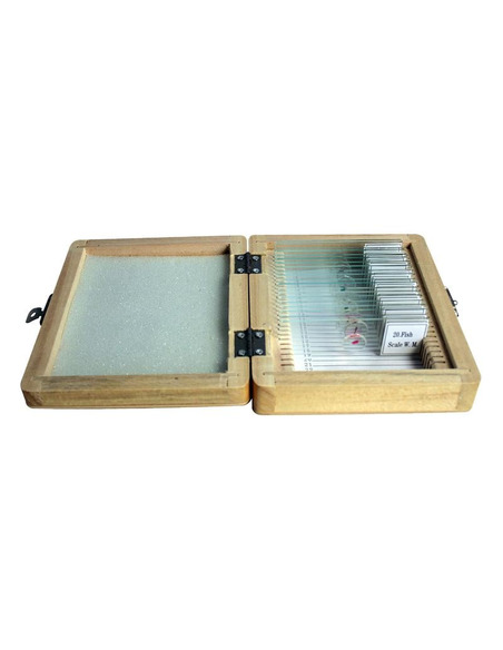 Robtics Omegon Prepared slide set, 20 slides in a wooden box