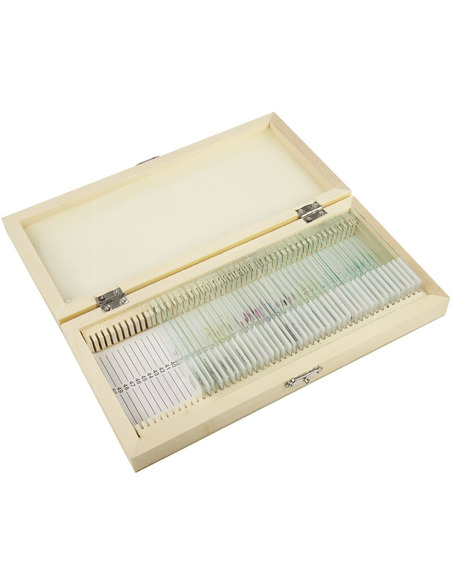 Omegon Prepared slide set, 40 slides in a wooden box - 1