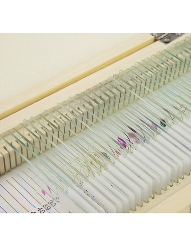 Omegon Prepared slide set, 40 slides in a wooden box - 3