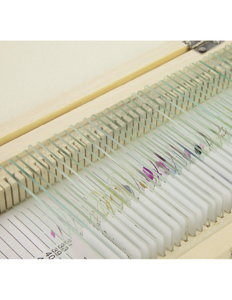 Omegon Prepared slide set, 40 slides in a wooden box - 3