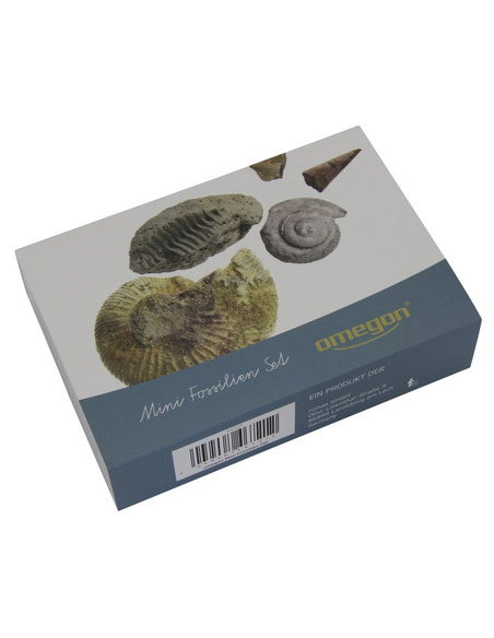 Omegon mini fossil set - 1