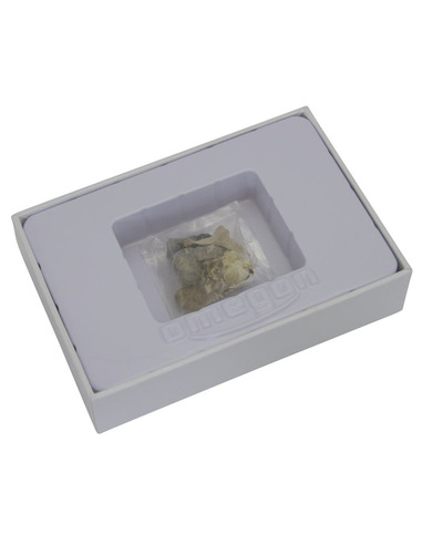 Omegon mini fossil set - 2