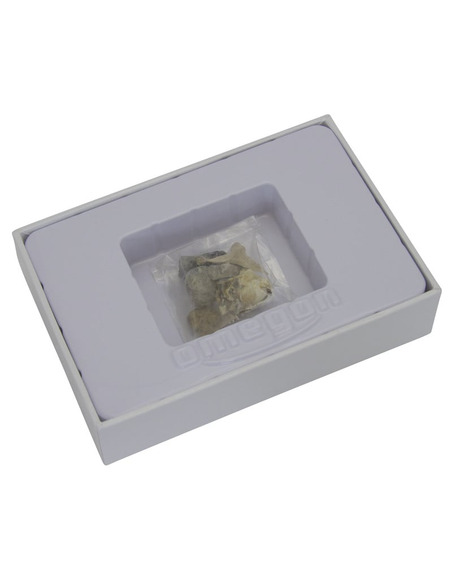 Omegon mini fossil set - 2