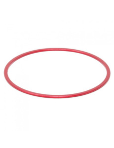 PrimaLuceLab M48 spacer 1 mm - 1