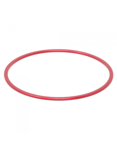 PrimaLuceLab M48 spacer 1 mm - 1