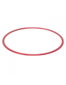 PrimaLuceLab M48 spacer 0.5mm