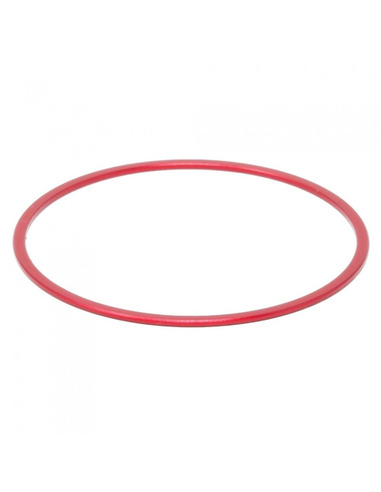 PrimaLuceLab T2 spacer 1mm - 1