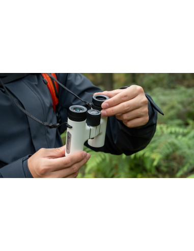 Robtics Seestar VisionX 8x24 Binoculars