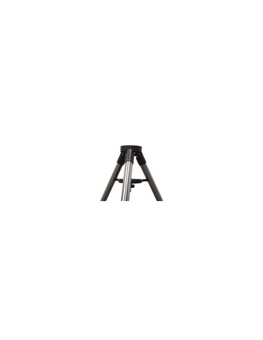 iOptron iEQ45/CEM60 2-inch Tripod - 2