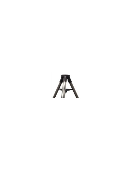 iOptron iEQ45/CEM60 2-inch Tripod - 2