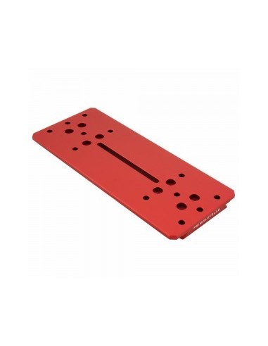 PrimaLuceLab Losmandy plate 240mm PLUS - 2